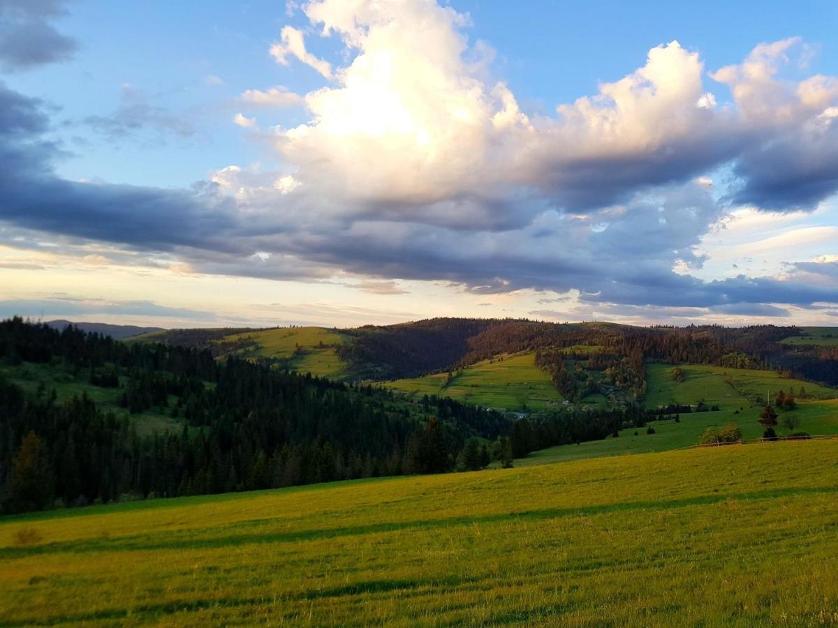 Карпатський Будинок Appartement Izki Buitenkant foto