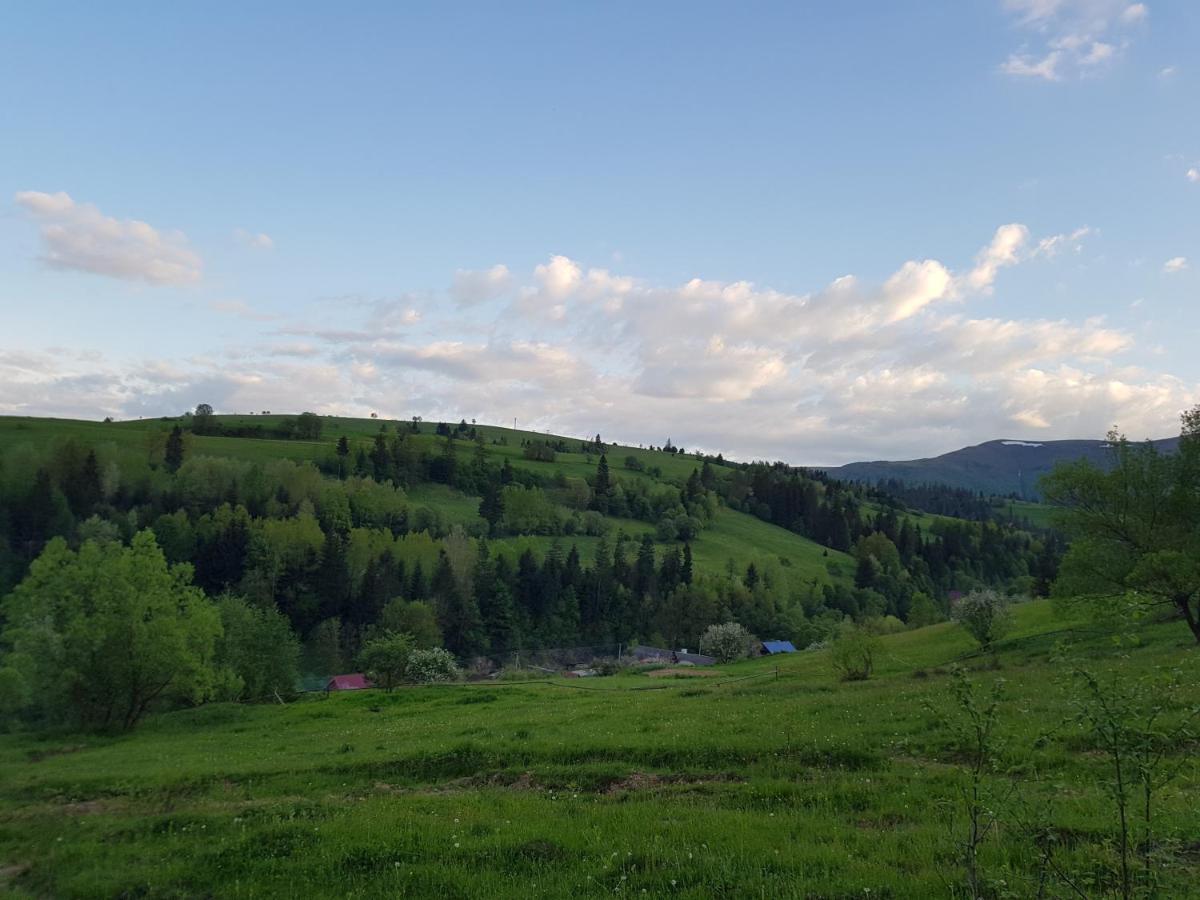Карпатський Будинок Appartement Izki Buitenkant foto