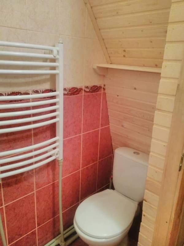 Карпатський Будинок Appartement Izki Buitenkant foto