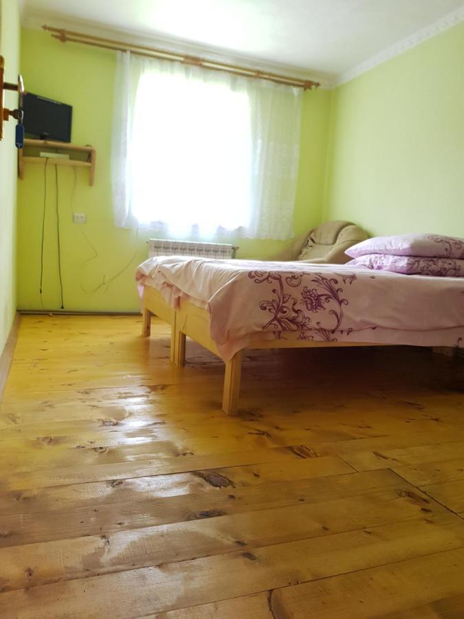 Карпатський Будинок Appartement Izki Buitenkant foto