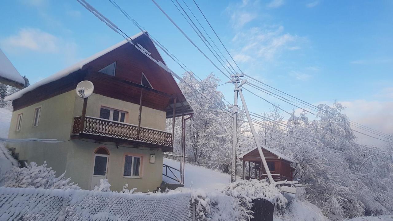 Карпатський Будинок Appartement Izki Buitenkant foto