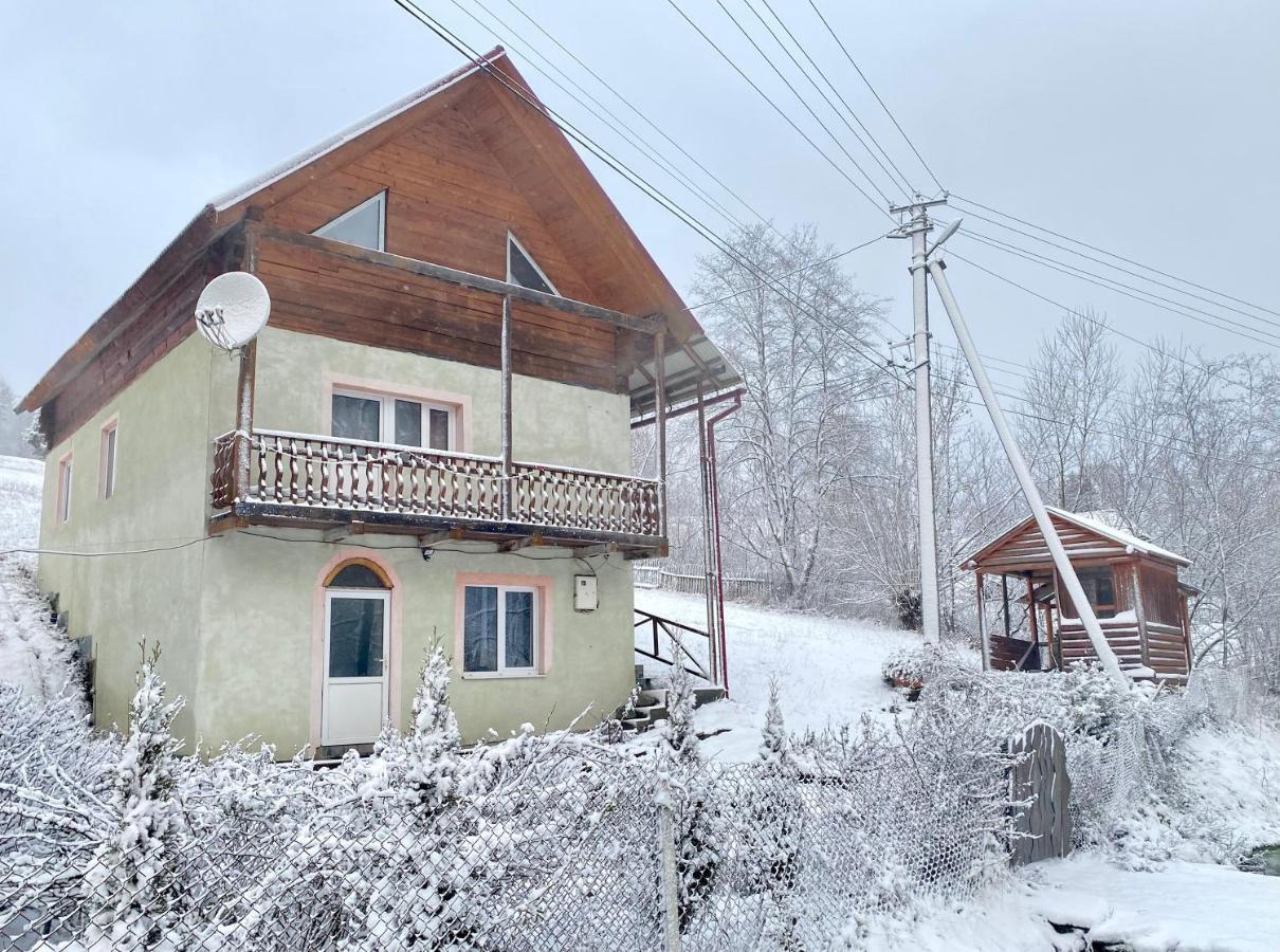 Карпатський Будинок Appartement Izki Buitenkant foto